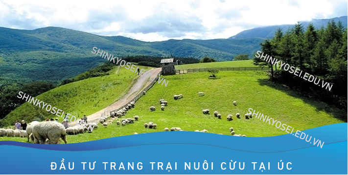 Đầu Tư Trang Trại Tại Úc: Cơ Hội Đầu Tư Sinh Lợi Nhuận Và Định Cư